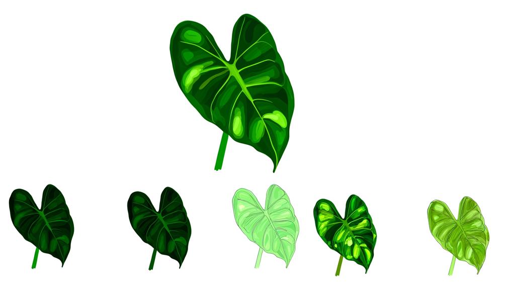 heartleaf philodendron plant care