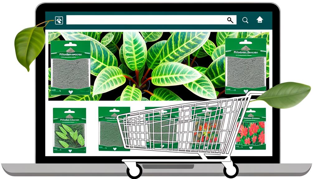 online seed shopping options