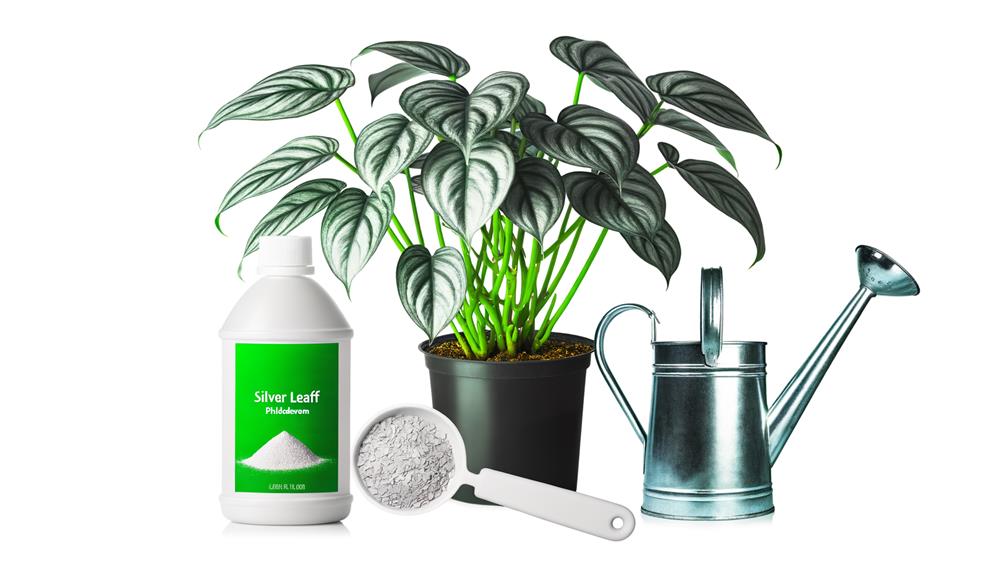 plant care instructions provided