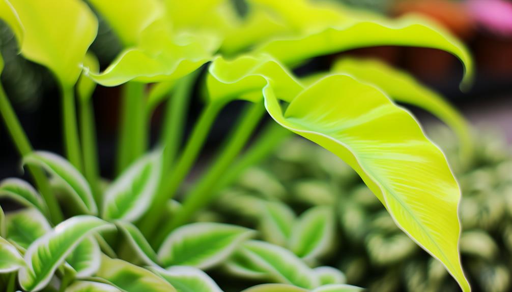 vibrant neon green leaves