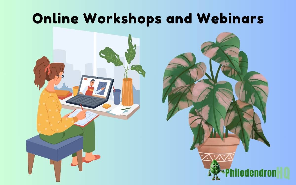 Online Workshops and Webinars