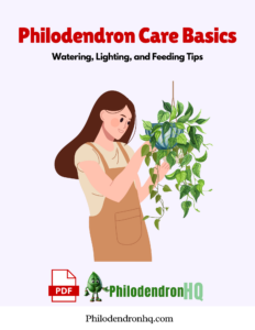 Philodendron Care Basics Watering, Lighting, and Feeding Tips