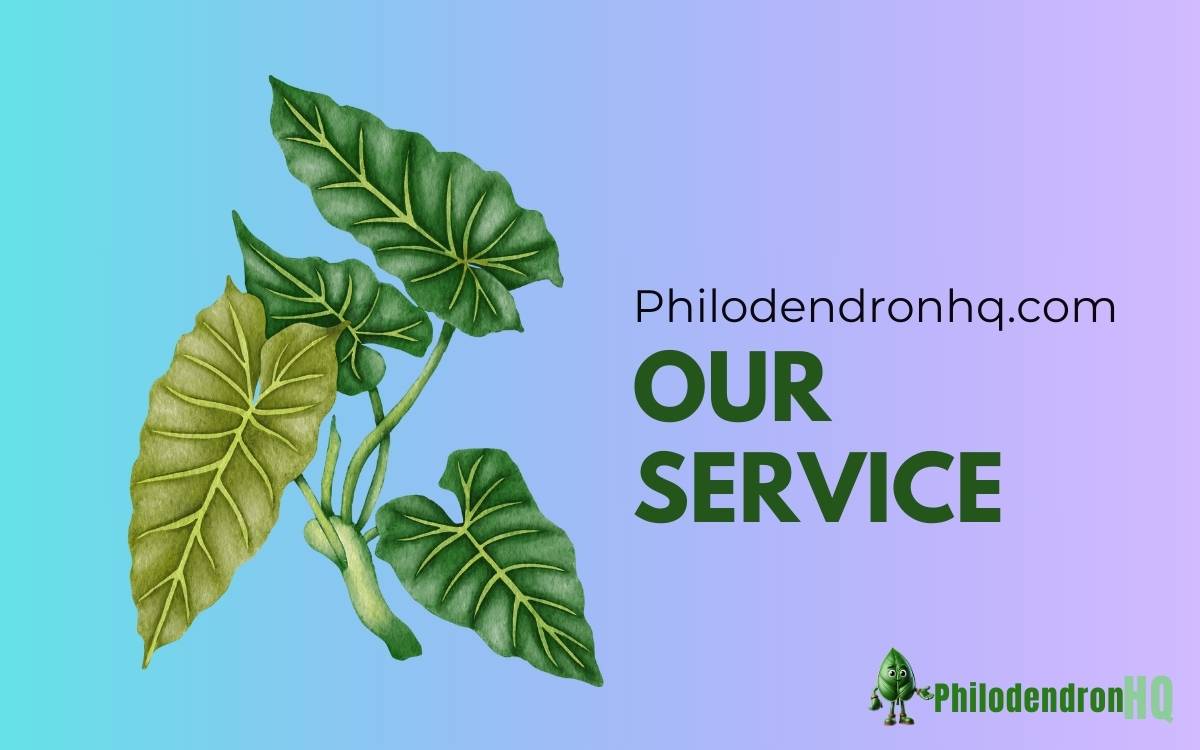 Philodendronhq Service