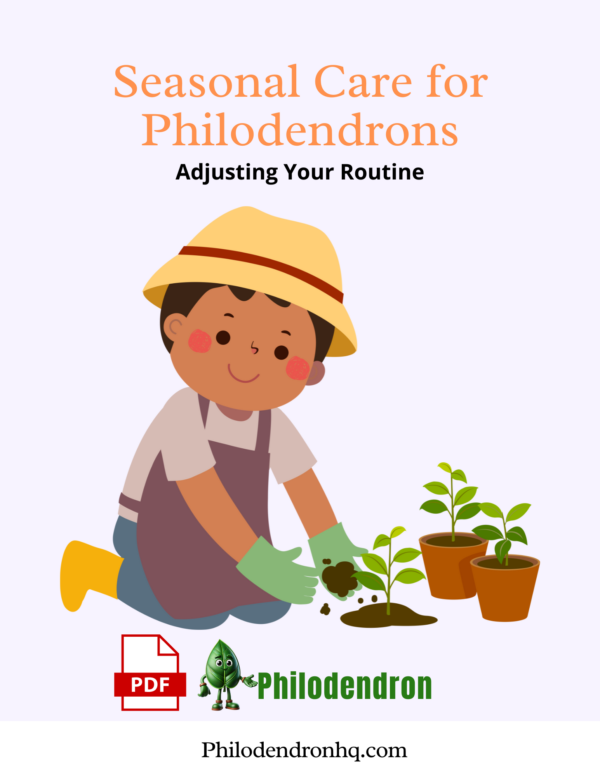 Seasonal Care for Philodendrons Adjusting Your Routine